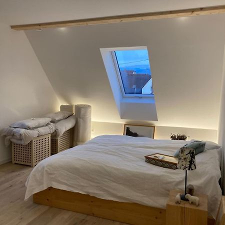 EhrenkirchenNeues Penthouse-Loft Mit Konuskarte Fuer Gratis Oepnv公寓 外观 照片