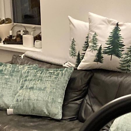 EhrenkirchenNeues Penthouse-Loft Mit Konuskarte Fuer Gratis Oepnv公寓 外观 照片