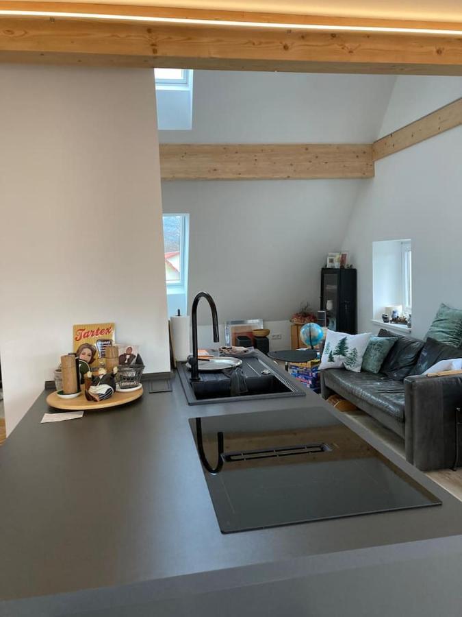 EhrenkirchenNeues Penthouse-Loft Mit Konuskarte Fuer Gratis Oepnv公寓 外观 照片