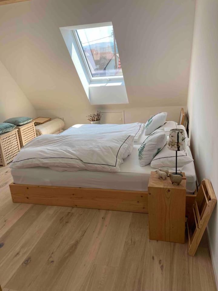 EhrenkirchenNeues Penthouse-Loft Mit Konuskarte Fuer Gratis Oepnv公寓 外观 照片